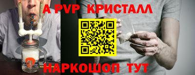 стафф Кингисепп