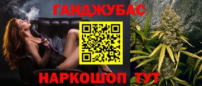стафф Кингисепп