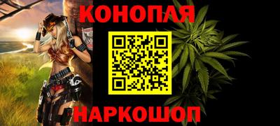 стафф Кингисепп