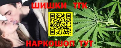 стафф Кингисепп