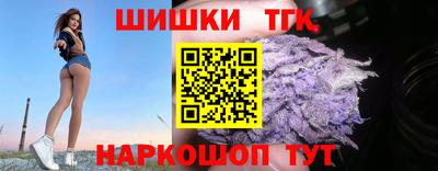 стафф Кингисепп