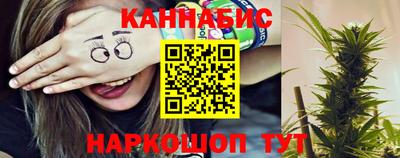 стафф Кингисепп