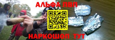 стафф Кингисепп