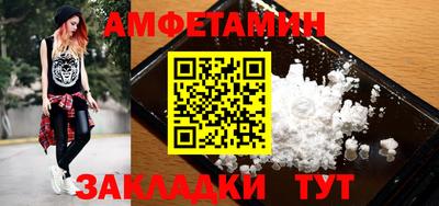 стафф Кингисепп