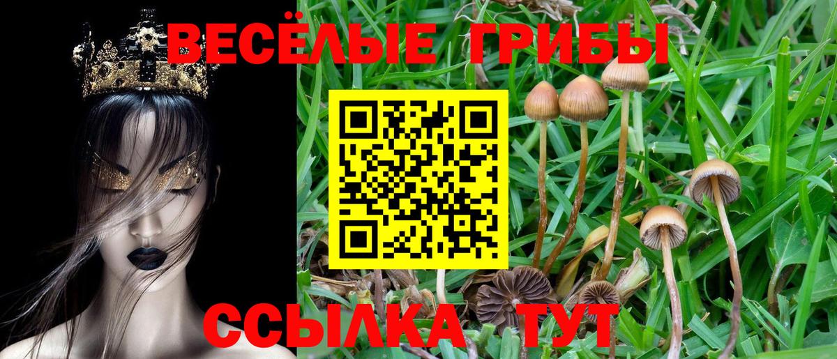 Псилоцибиновые грибы мицелий Красноярск